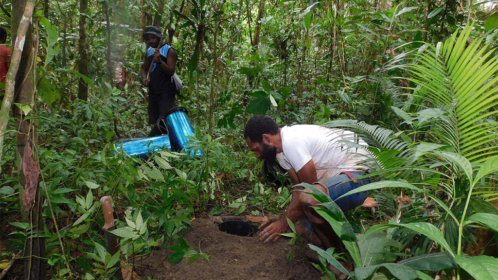 Revealing Diversity on our Doorstep - New Guinea Binatang Research Center